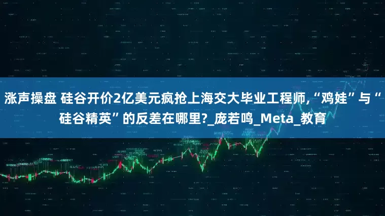 涨声操盘 硅谷开价2亿美元疯抢上海交大毕业工程师,“鸡娃”与“硅谷精英”的反差在哪里?_庞若鸣_Meta_教育