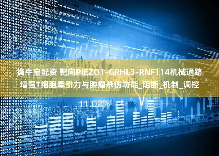 擒牛宝配资 靶向PIEZO1-GRHL3-RNF114机械通路增强T细胞牵引力与肿瘤杀伤功能_阻断_机制_调控