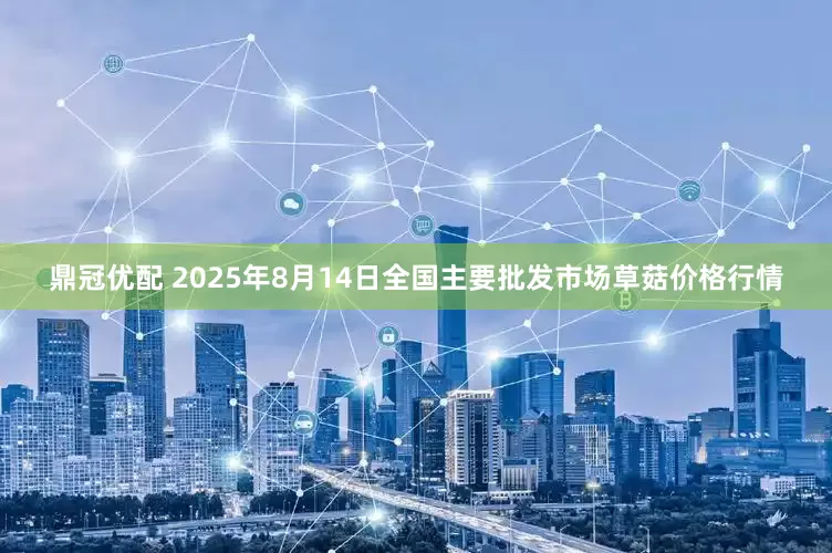 鼎冠优配 2025年8月14日全国主要批发市场草菇价格行情