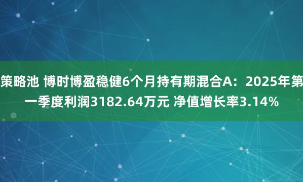 策略池 博时博盈稳健6个月持有期混合A：2025年第一季度利润3182.64万元 净值增长率3.14%