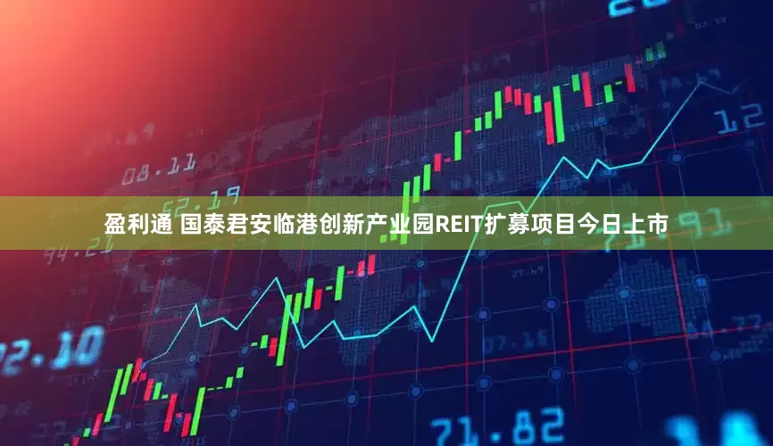 盈利通 国泰君安临港创新产业园REIT扩募项目今日上市